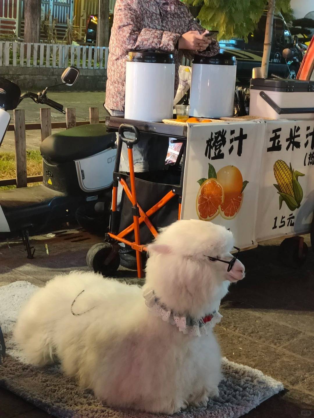 老子今天不上班