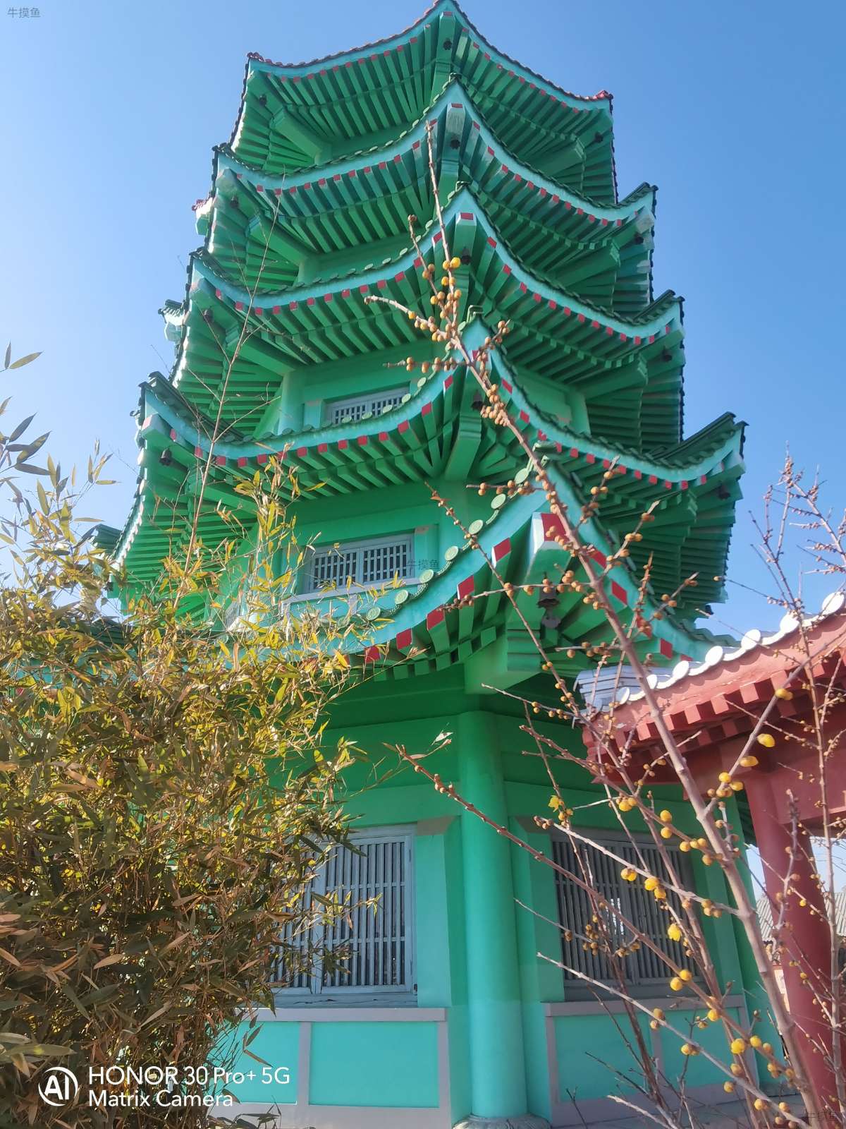 周一下午开始摸鱼