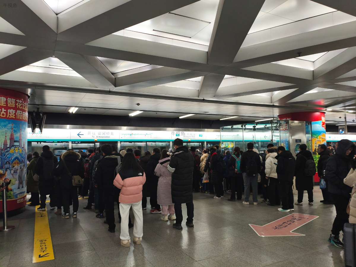 大都市的牛马成群