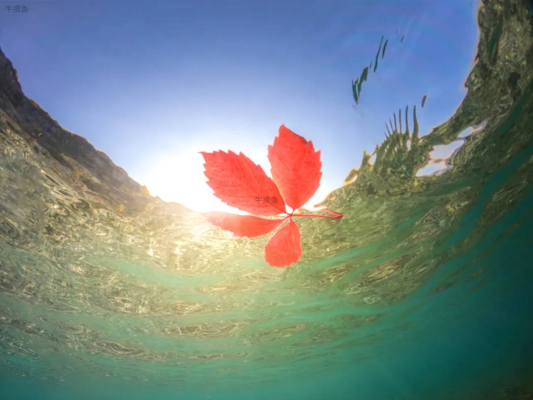 水上漂功夫