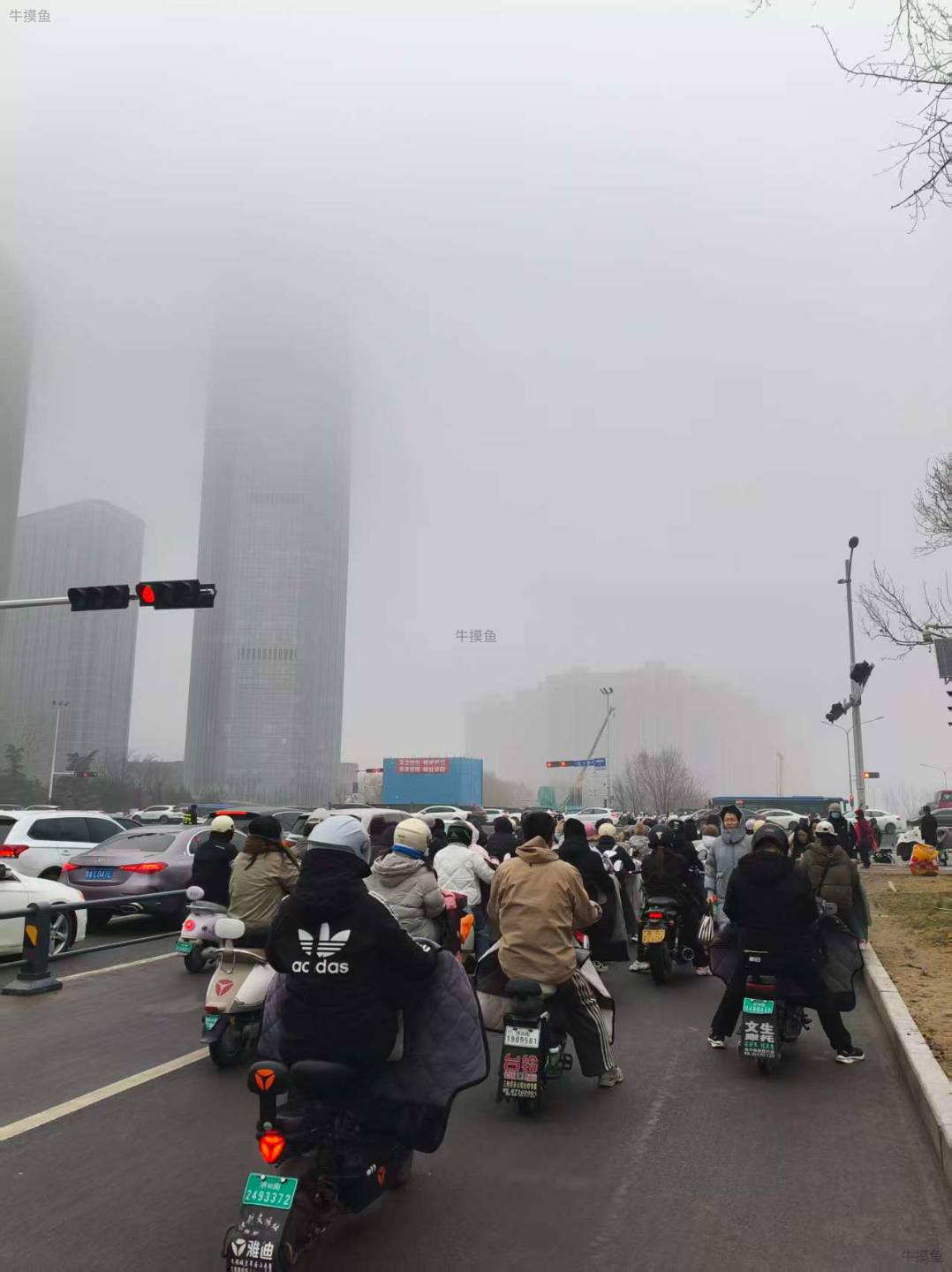 牛马身，竹石魂