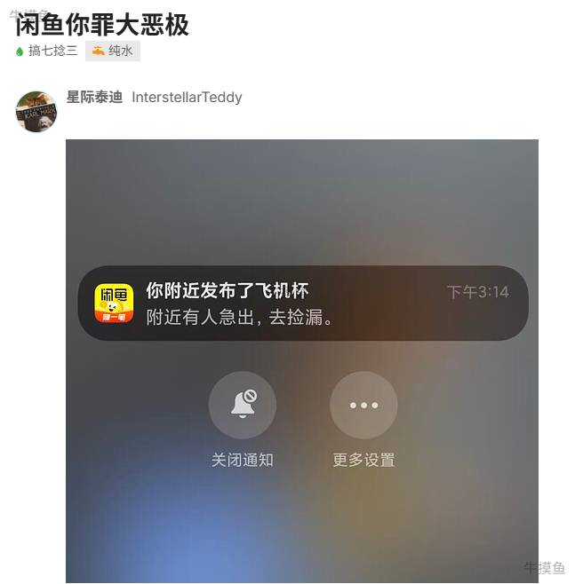 咸鱼太有才了